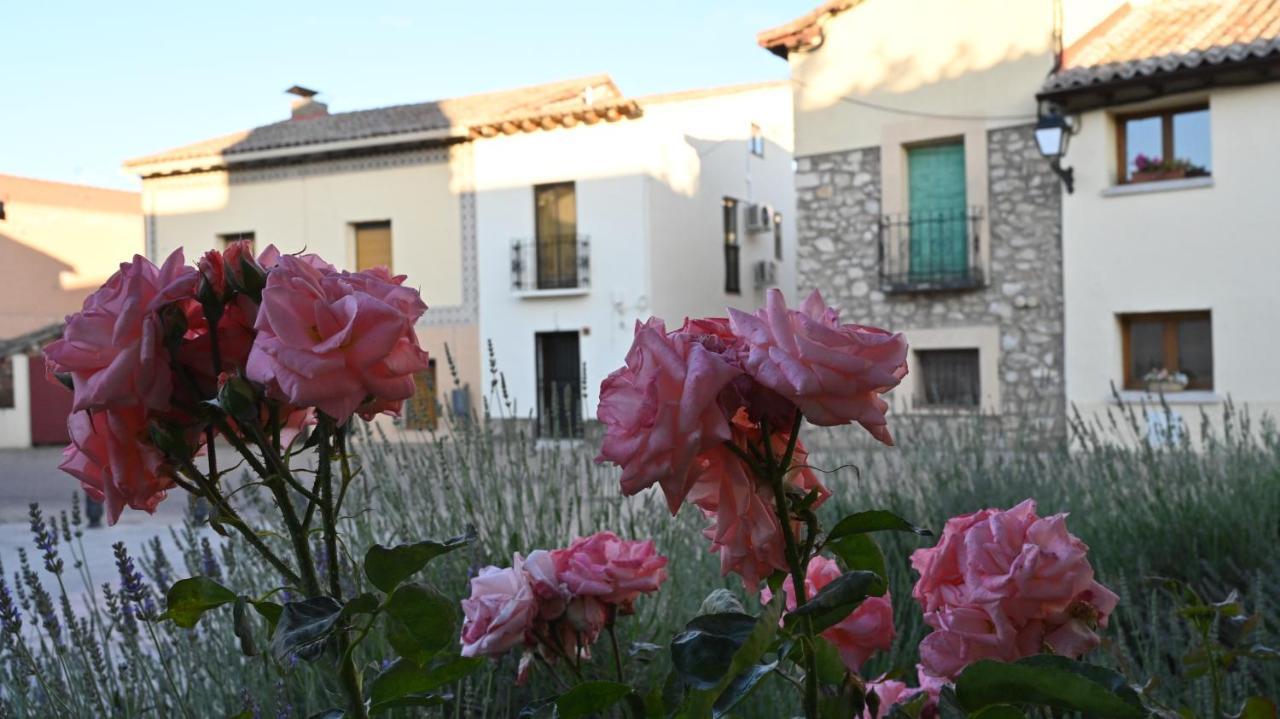 Torremocha de Jarama Casa Rural Antigua Botica מראה חיצוני תמונה